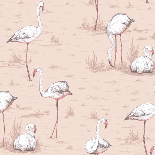 Cole & Son Flamingos Wallpaper 112/11039