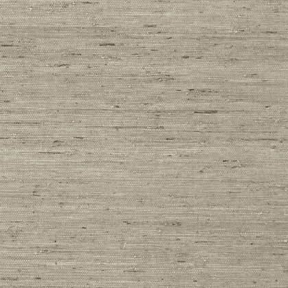 Thibaut Maranta Wallpaper in Grey
