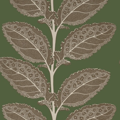 Thibaut Lacinato Wallpaper in Wild Sage