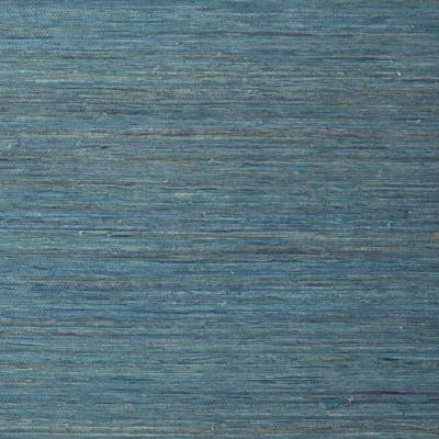 Thibaut Raffia Palm Wallpaper in Peacock Blue