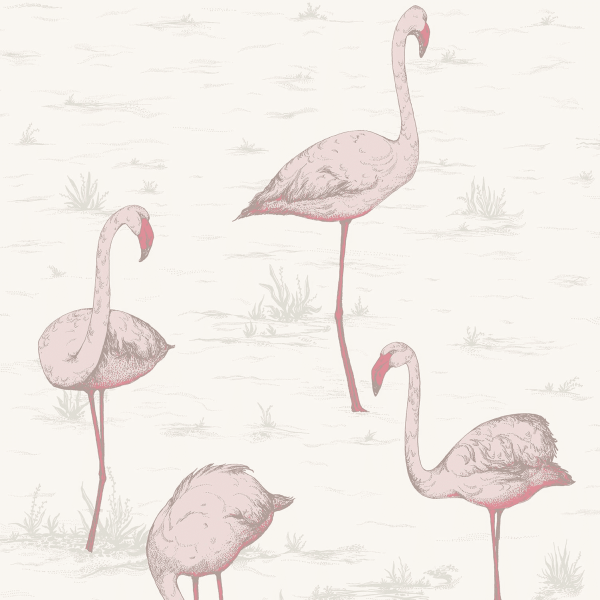 Cole & Son Flamingo Wallpaper 95/8045