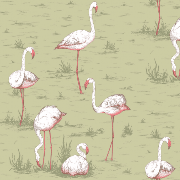 Cole & Son Flamingos Wallpaper 112/11038