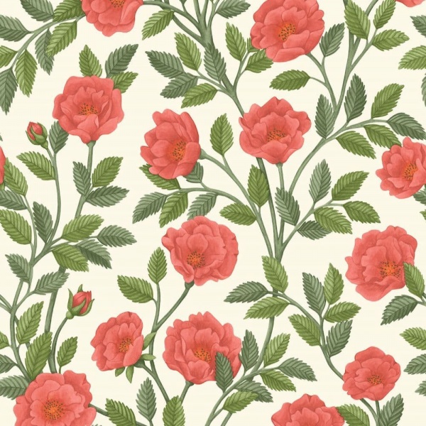 Cole & Son Hampton Roses Wallpaper  118/7013