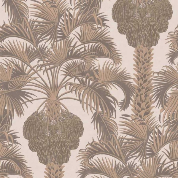 Cole & Son Hollywood Palm  Wallpaper 113/1002
