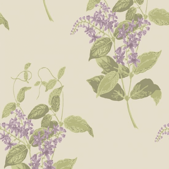 Cole & Son Madras Violet Wallpaper 100/12056