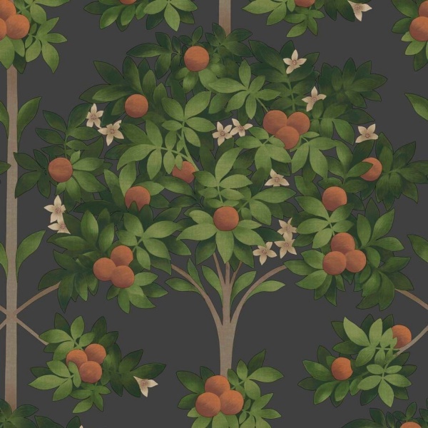 Cole & Son Orange Blossom Wallpaper 117/1003