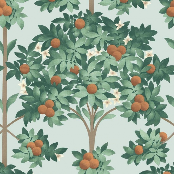 Cole & Son Orange Blossom Wallpaper 117/1004