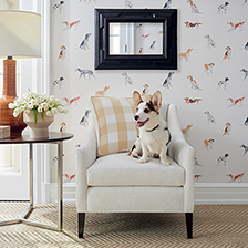 Anna French Buddy Wallpaper in Blue