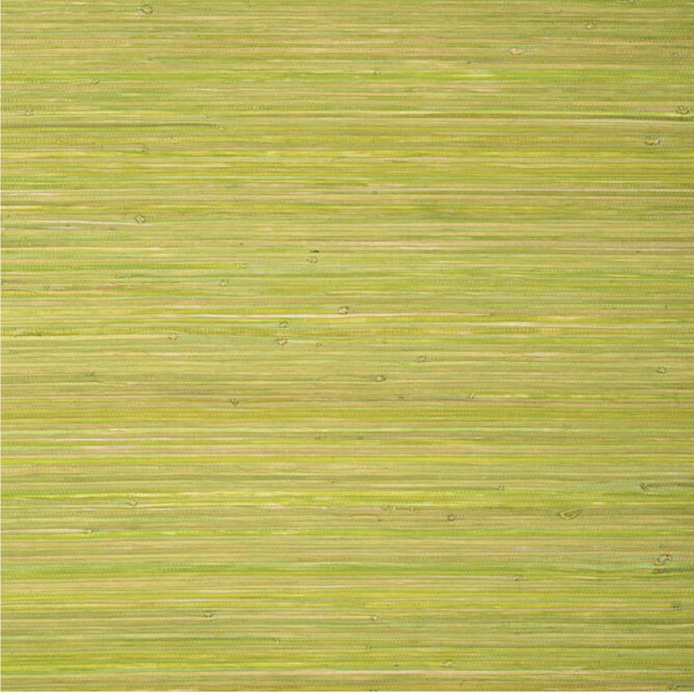 Thibaut Raffia Palm Wallpaper in Apple Green