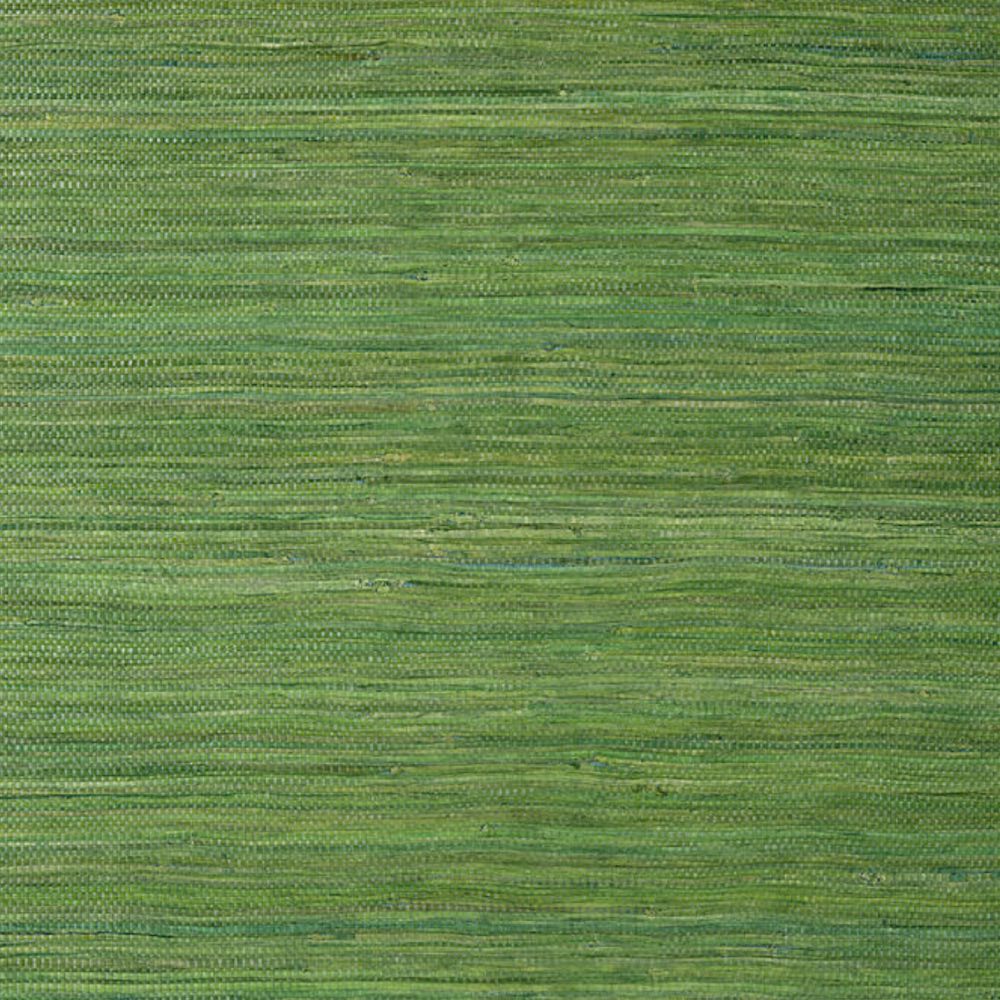 Thibaut Raffia Palm Wallpaper in Emerald Green