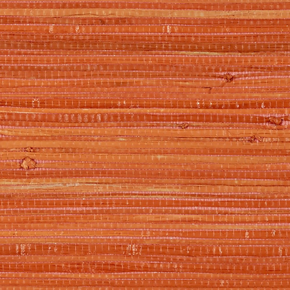 Thibaut Raffia Palm Wallpaper in Orange