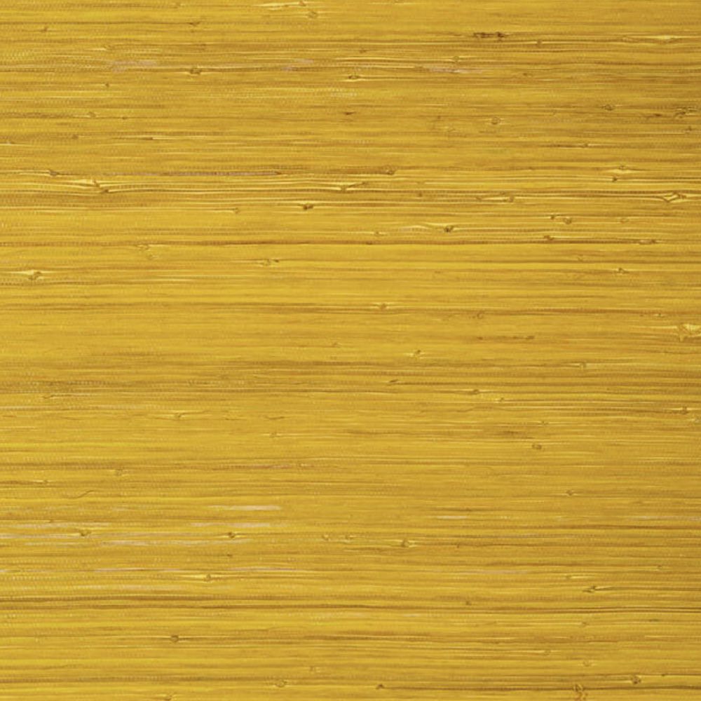 Thibaut Raffia Palm Wallpaper in Yellow
