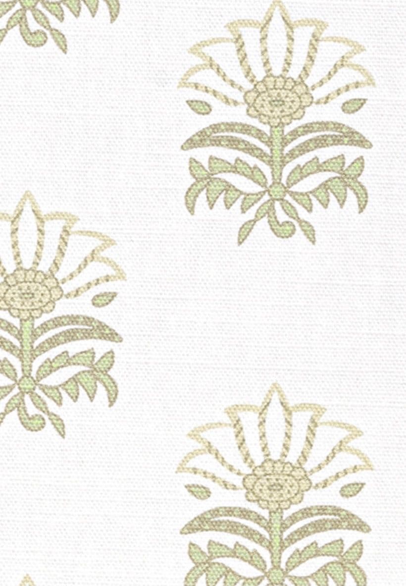 Anna French Milford Cotton in Beige and Green