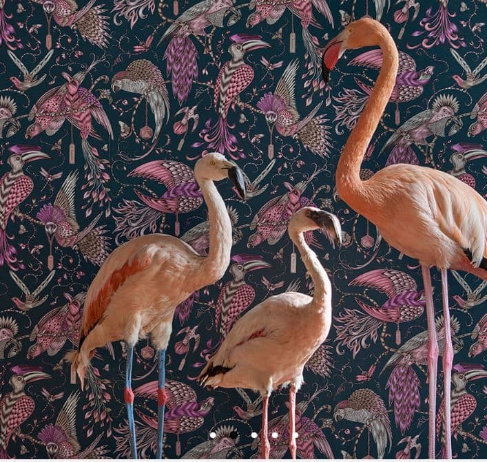 Clarke & Clarke Audubon Wallpaper in Pink