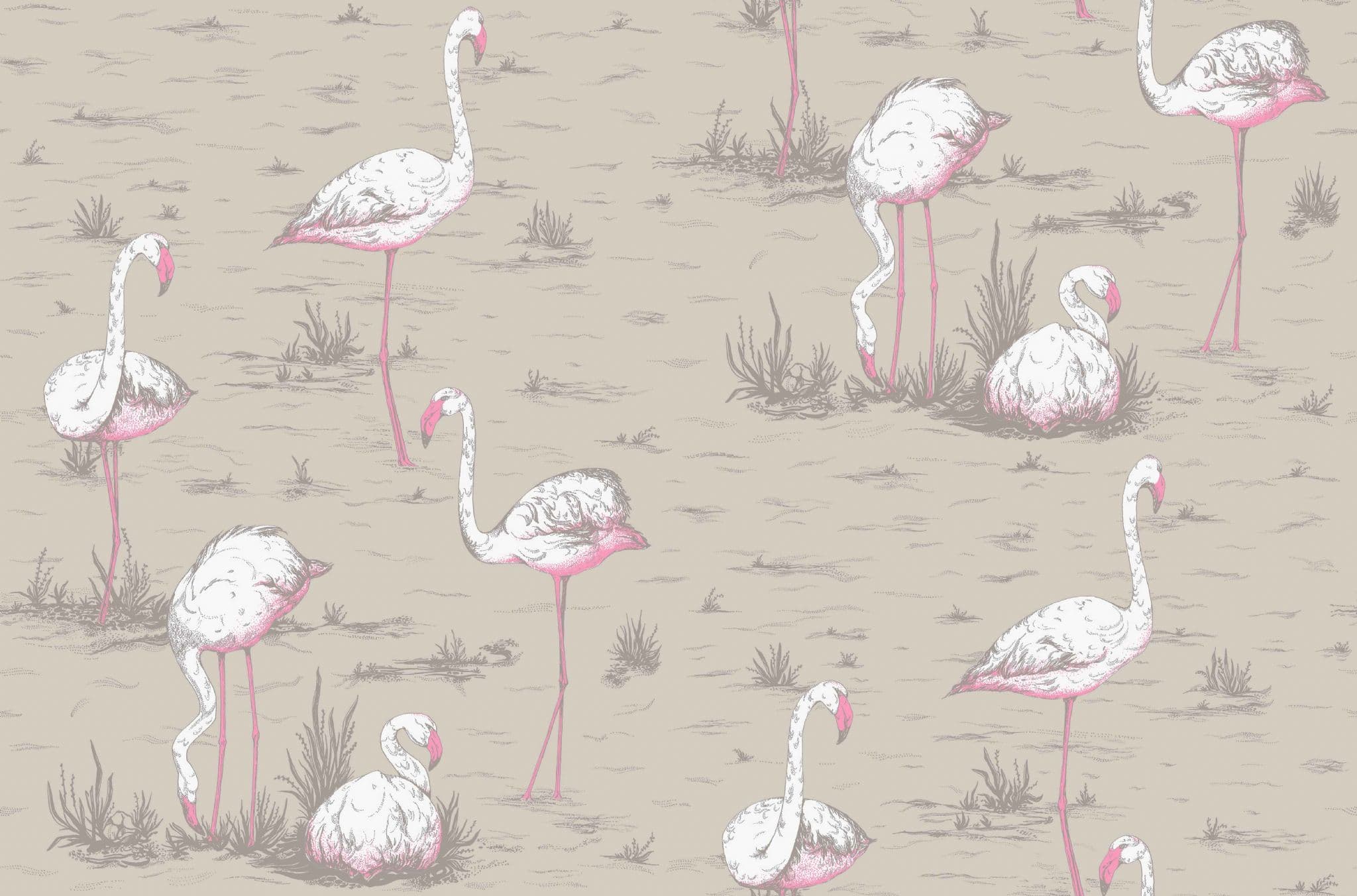 Cole and Son Flamingos Linen Fabric F111/3011
