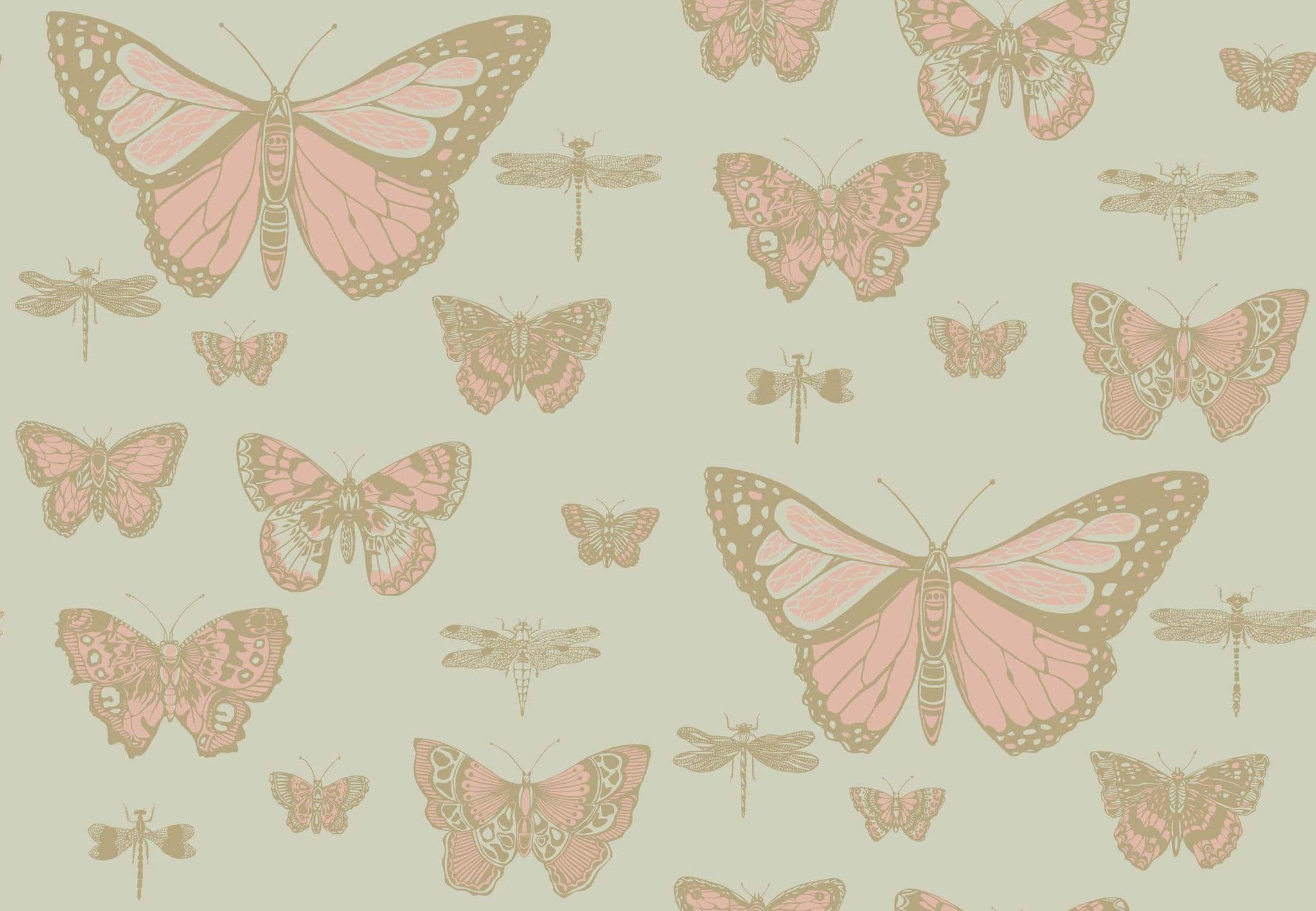 Cole & Son Butterflies and Dragonflies Wallpaper 103/15063