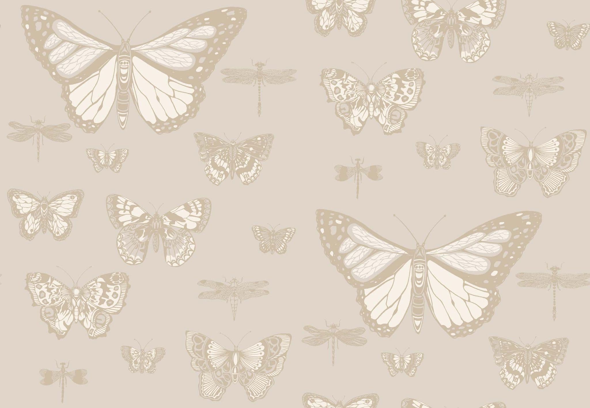 Cole & Son Butterflies and Dragonflies Wallpaper 103/15064