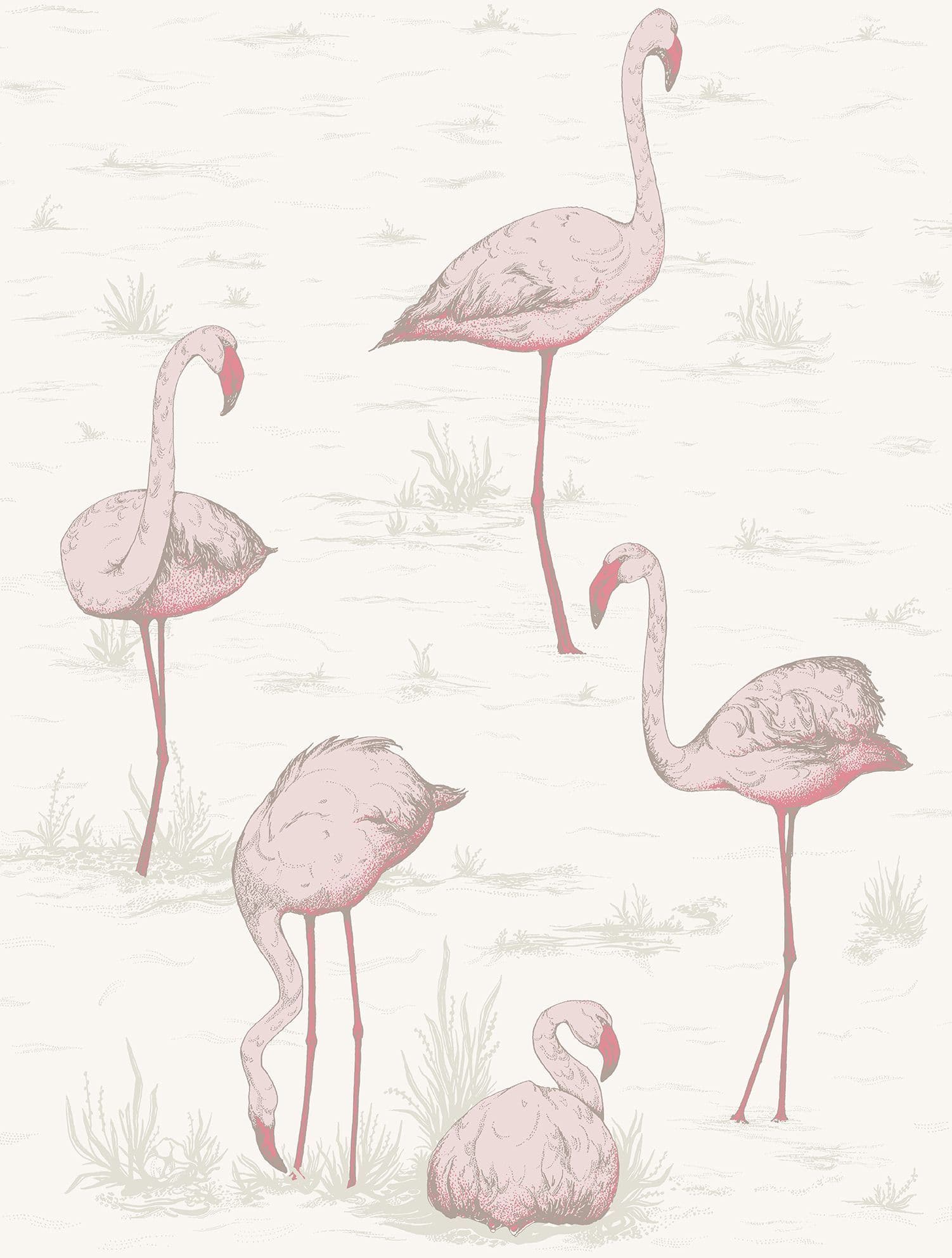 Cole & Son Flamingo Wallpaper 95/8045. 4 rolls.