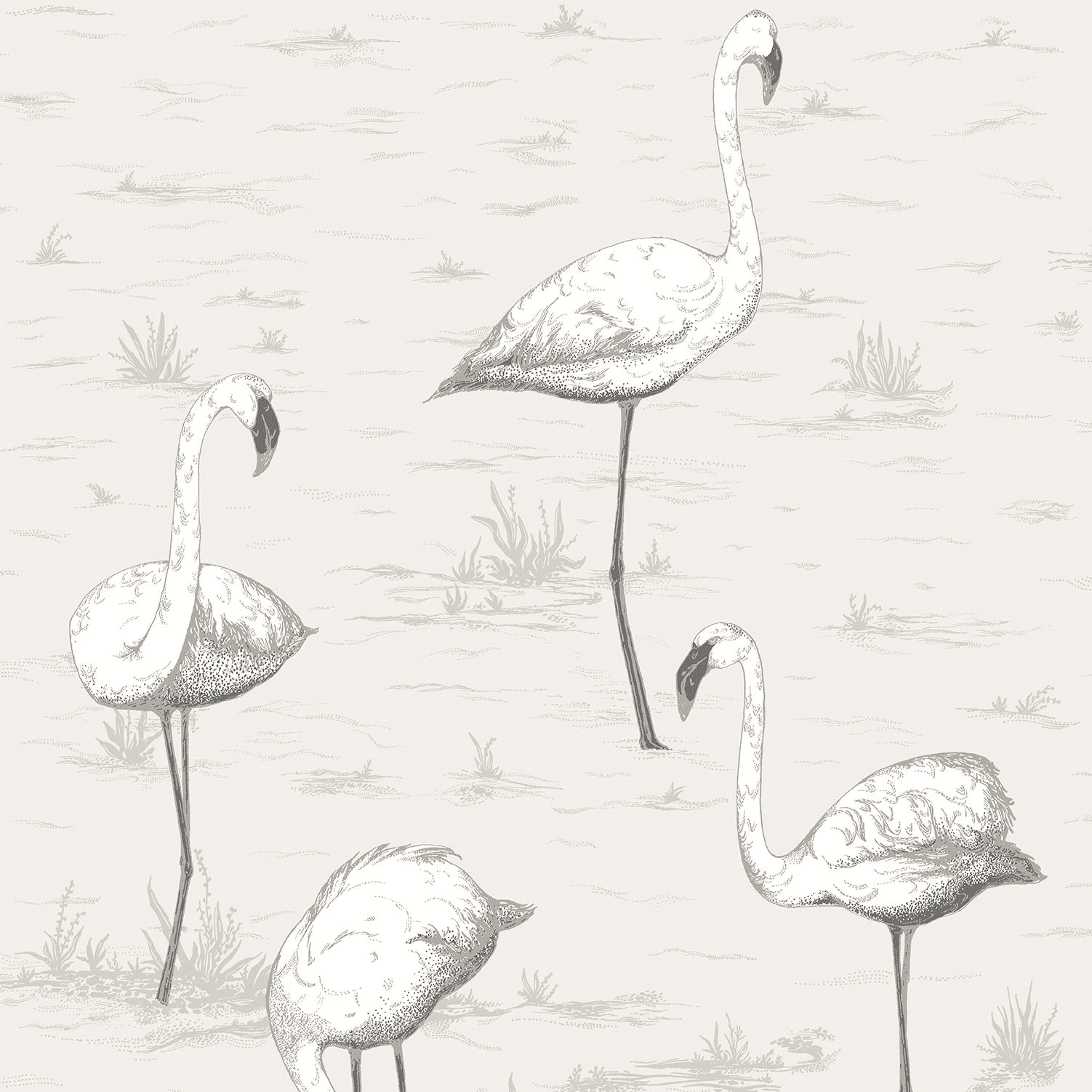 Cole & Son Flamingo Wallpaper 95/8046
