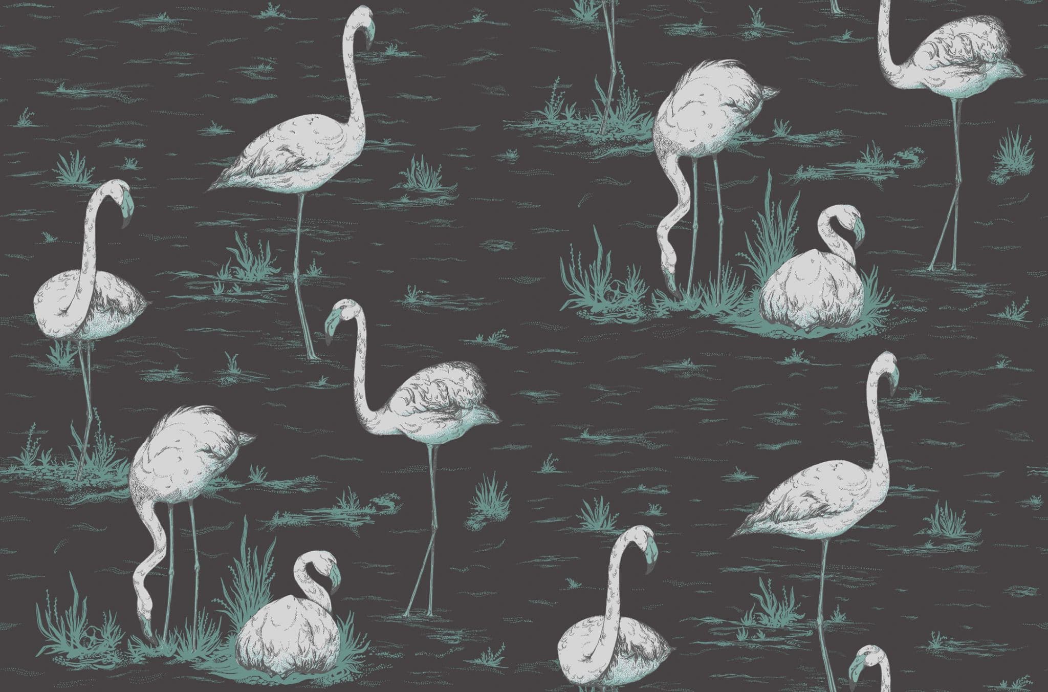 Cole & Son Flamingo Wallpaper 95/8048