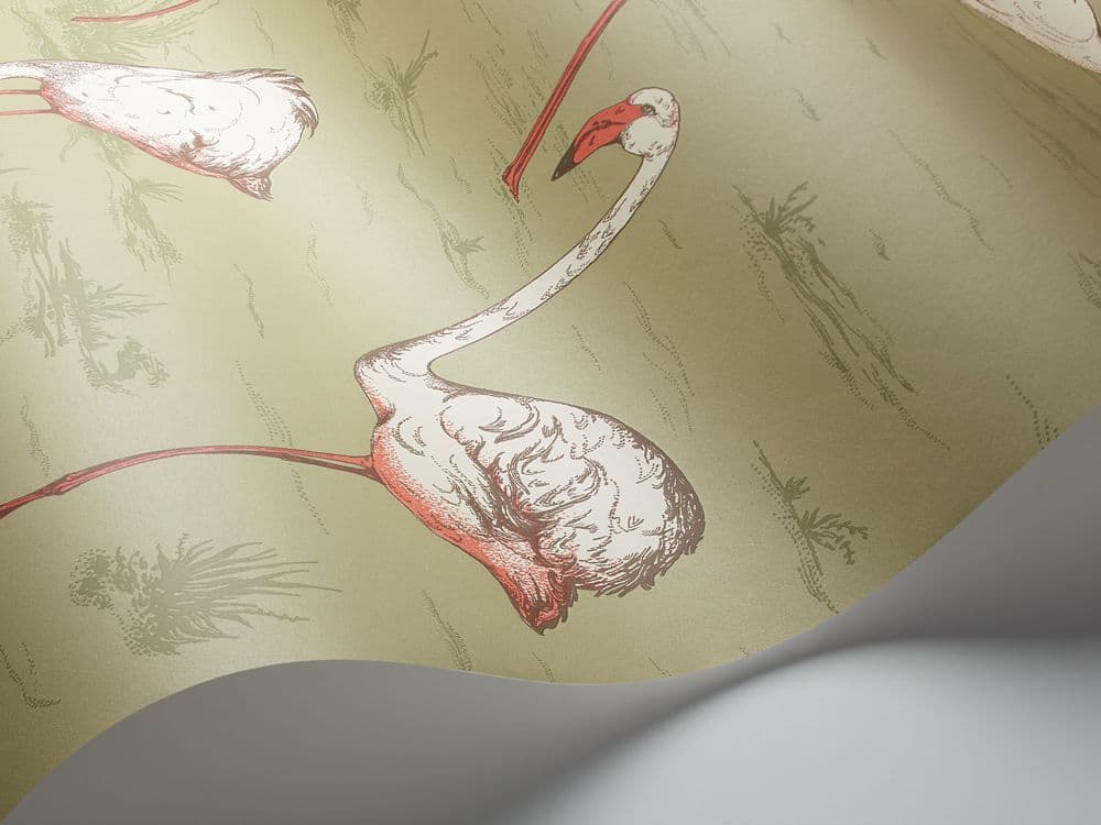 Cole & Son Flamingos Wallpaper 112/11038