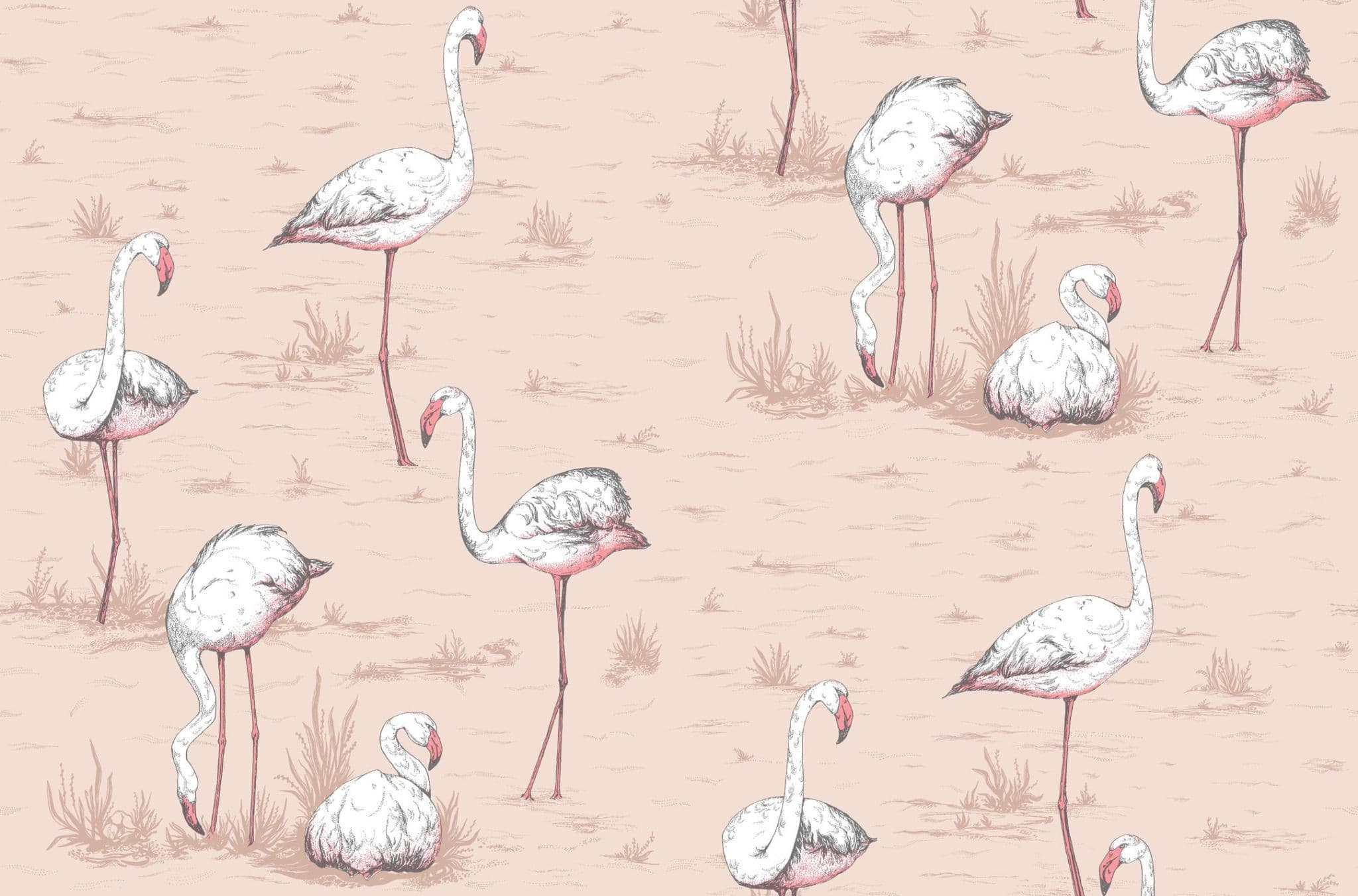 Cole & Son Flamingos Wallpaper 112/11039