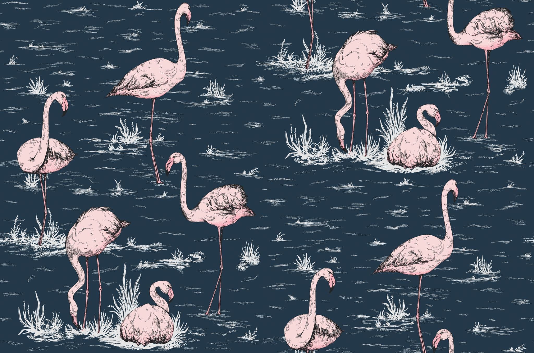 Cole & Son Flamingos Wallpaper 112/11041