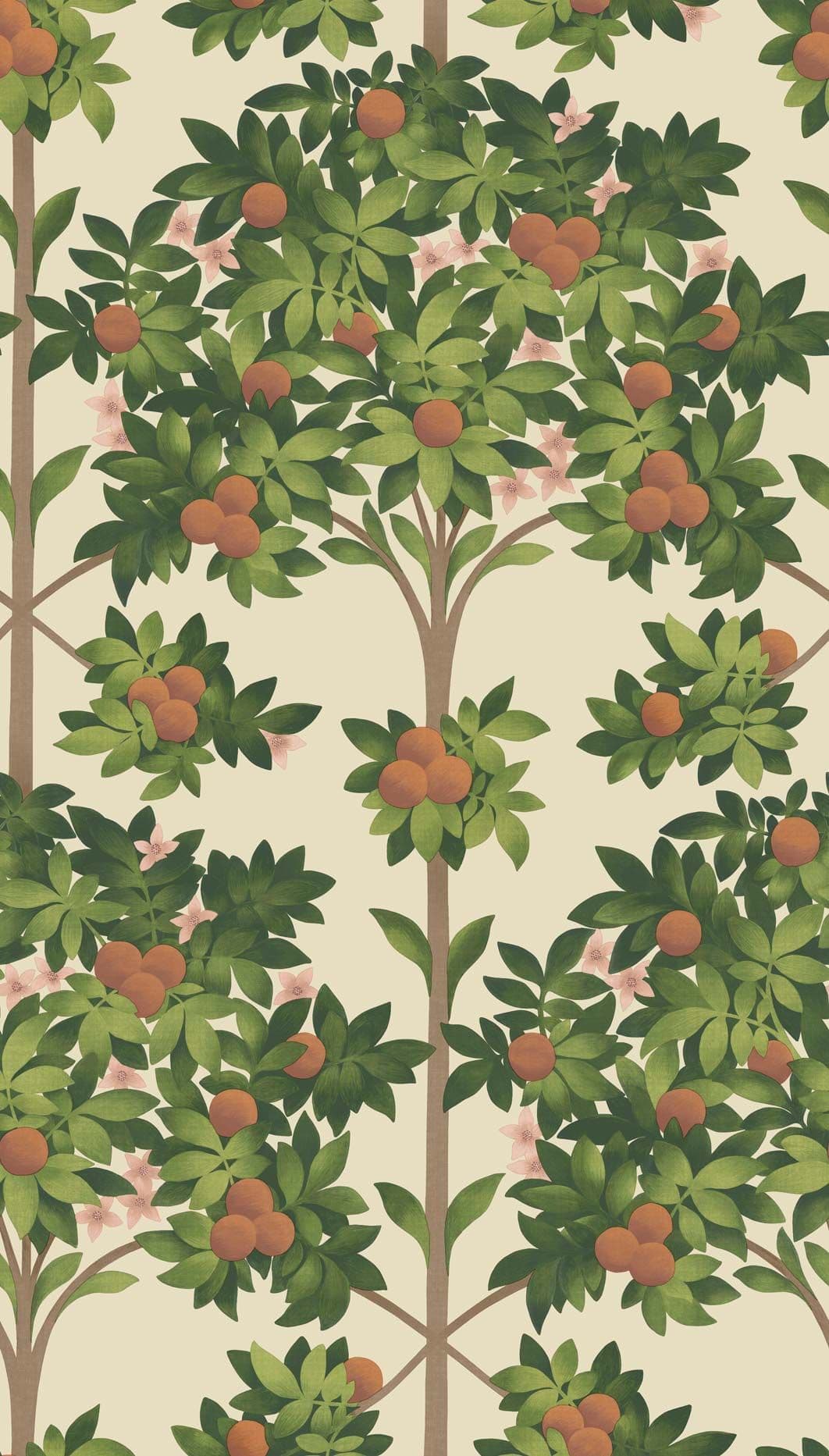 Cole & Son Orange Blossom Wallpaper 117/1001