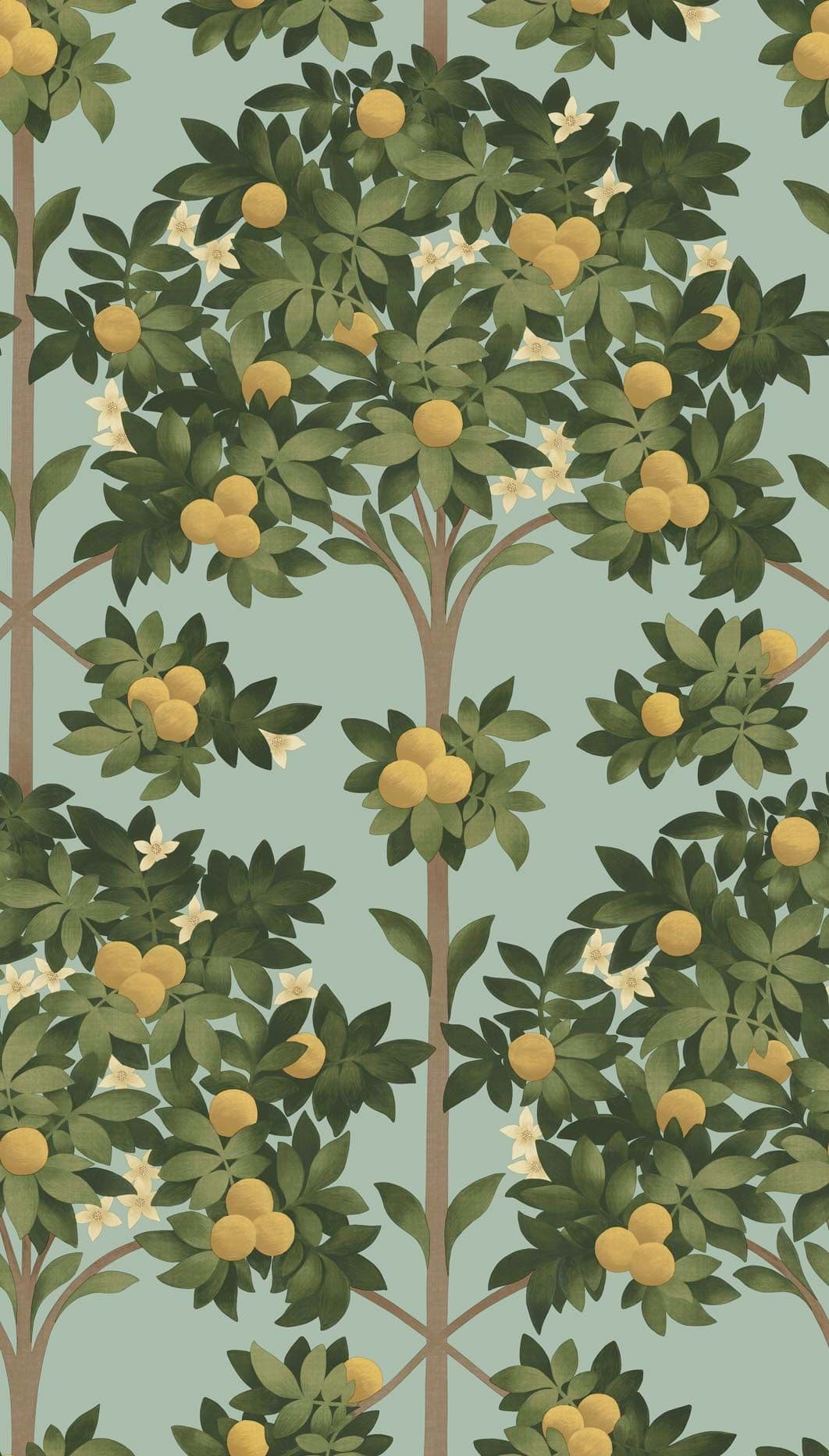 Cole & Son Orange Blossom Wallpaper 117/1002