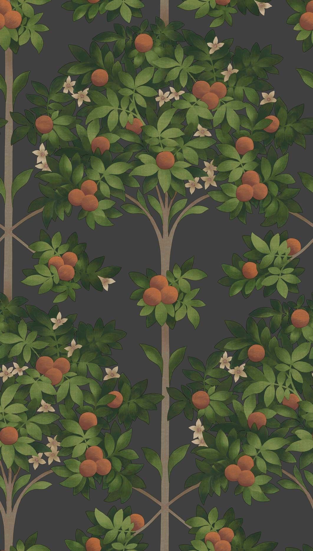 Cole & Son Orange Blossom Wallpaper 117/1003