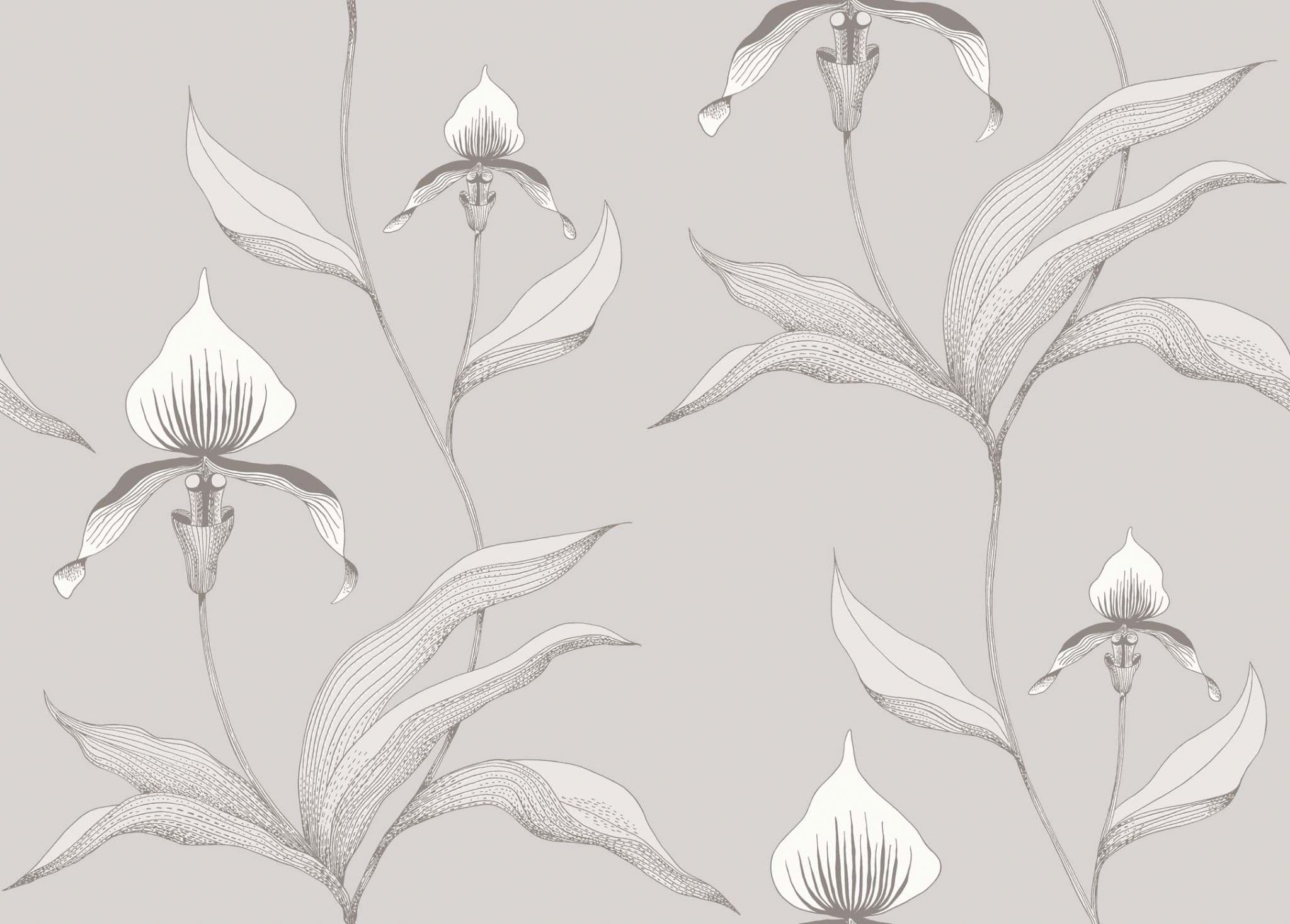 Cole & Son Orchid Wallpaper 95/10055