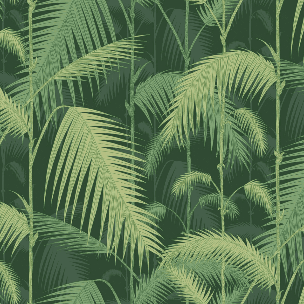 Cole & Son Palm Jungle Wallpaper 112/1003