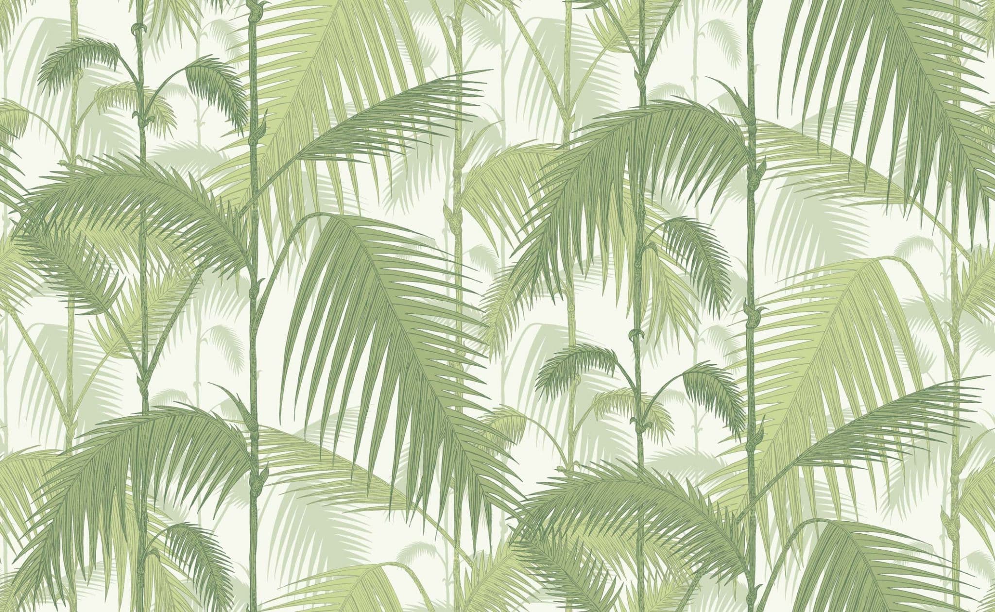 Cole & Son Palm Jungle Wallpaper 95/1001
