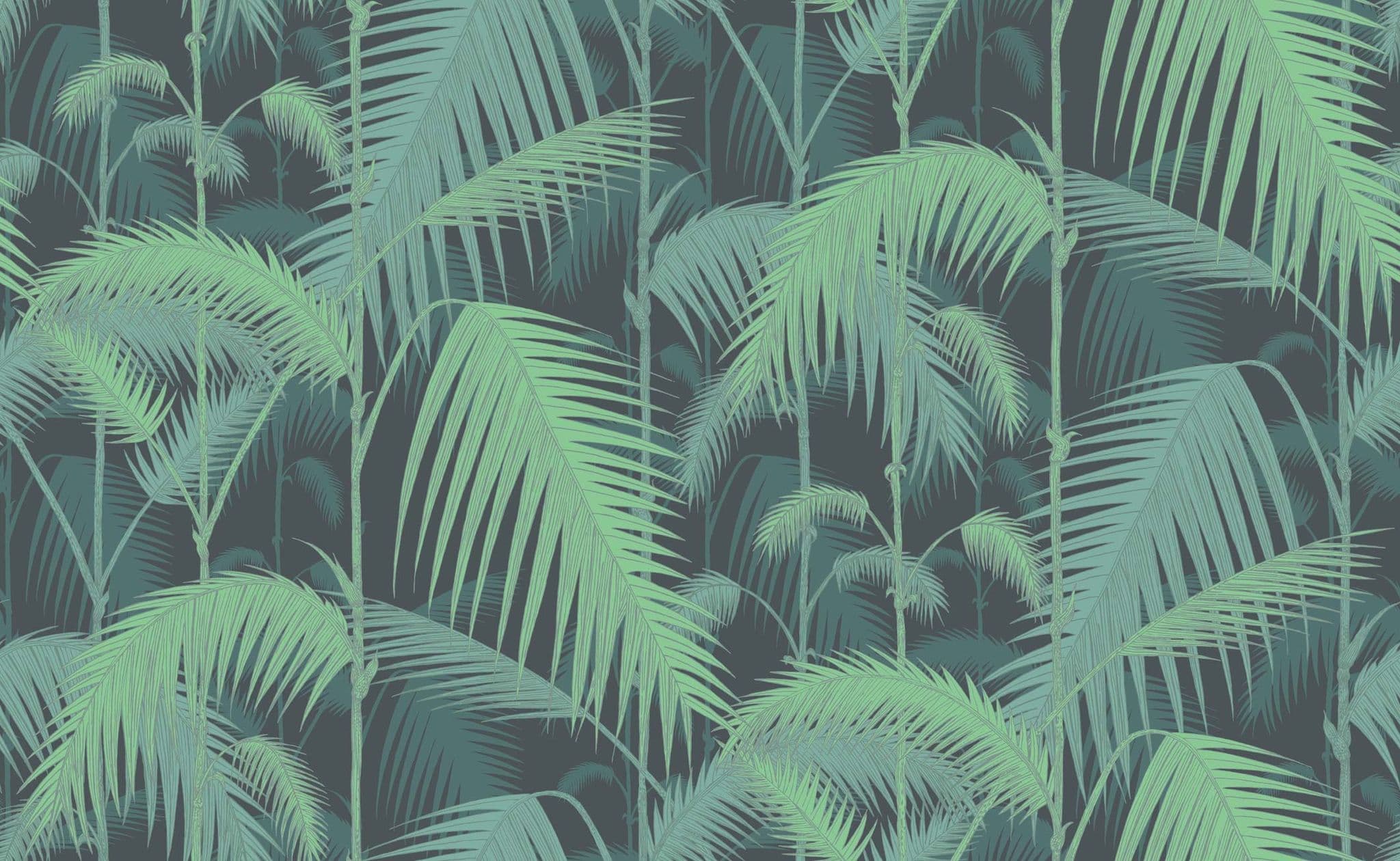 Cole & Son Palm Jungle Wallpaper 95/1003