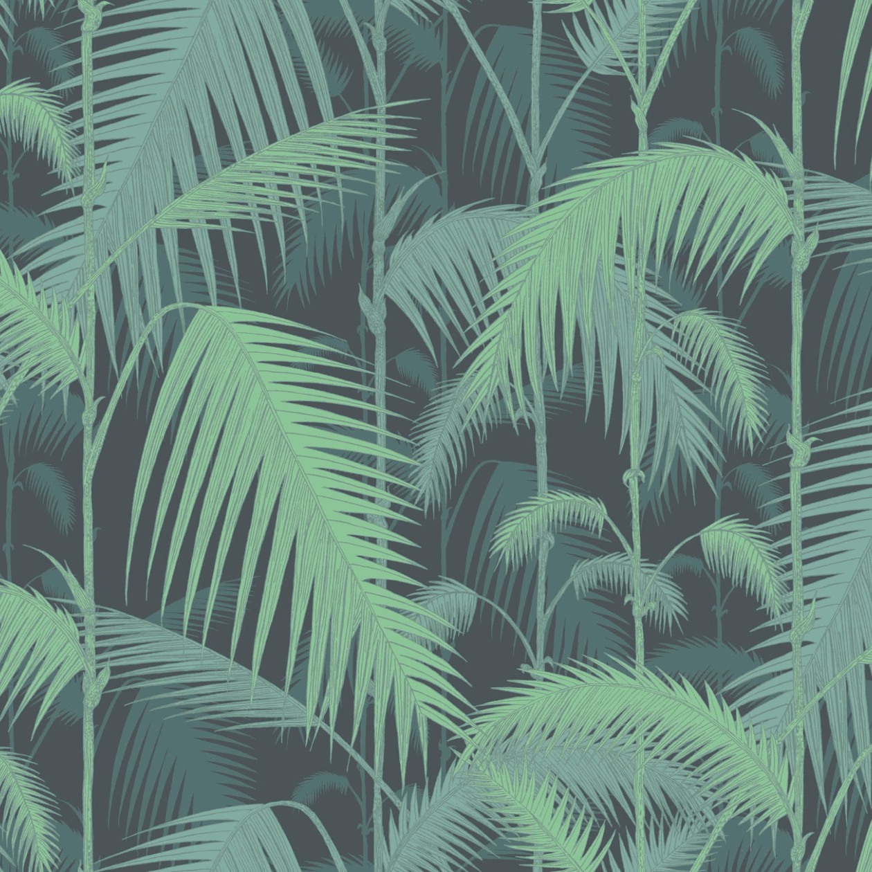 Cole & Son Palm Jungle Wallpaper 95/1003