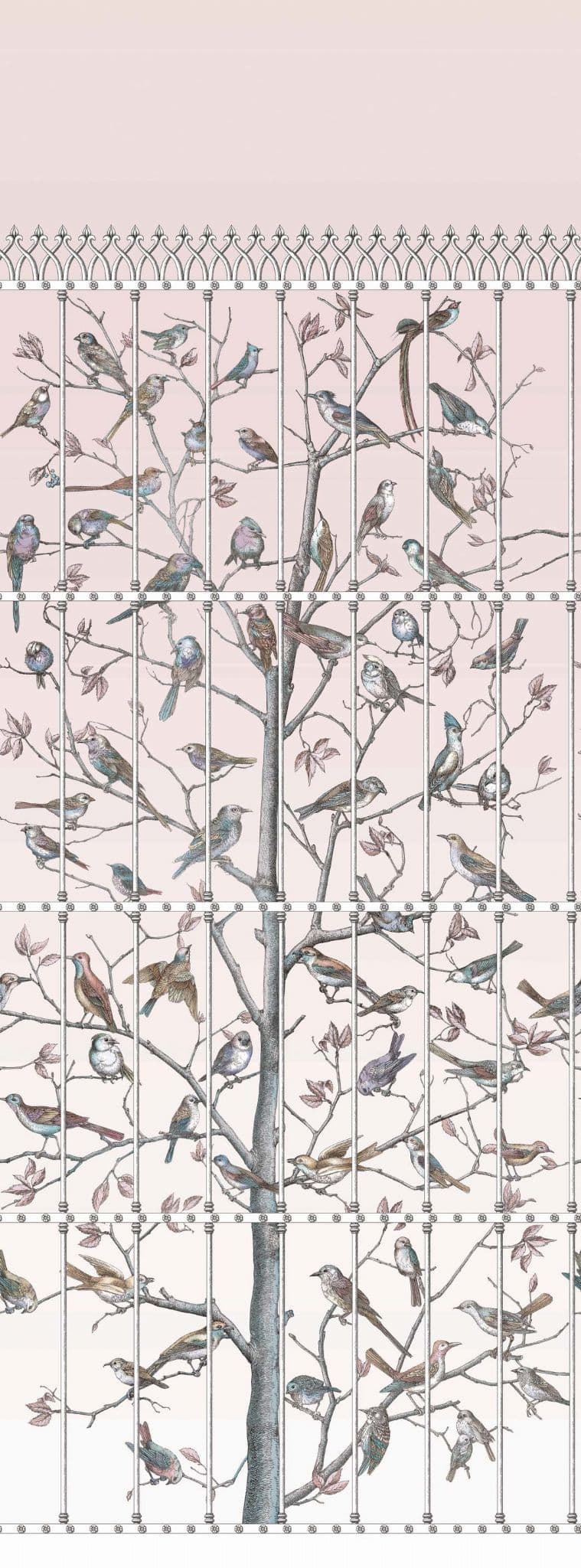 Cole & Son Uccelli  Wallpaper 114/11022