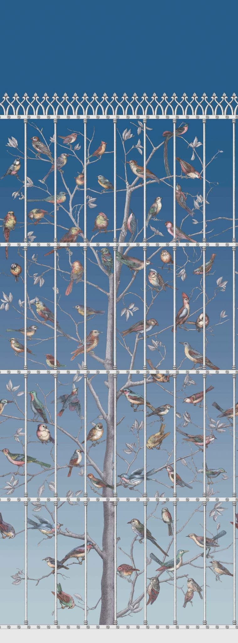 Cole & Son Uccelli  Wallpaper 114/11023