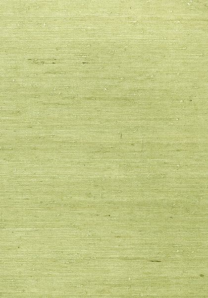 Thibaut Maranta Wallpaper in Green