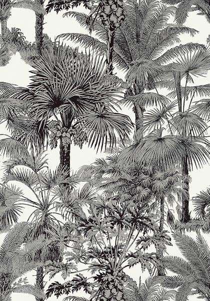Thibaut Palm Botanical  Wallpaper in  Black