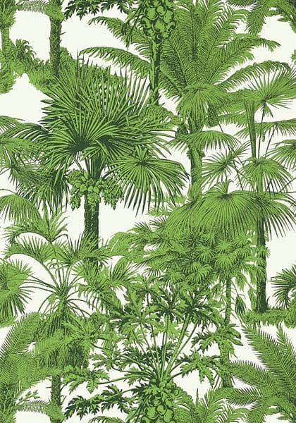 Thibaut Palm Botanical  Wallpaper in  Emerald Green