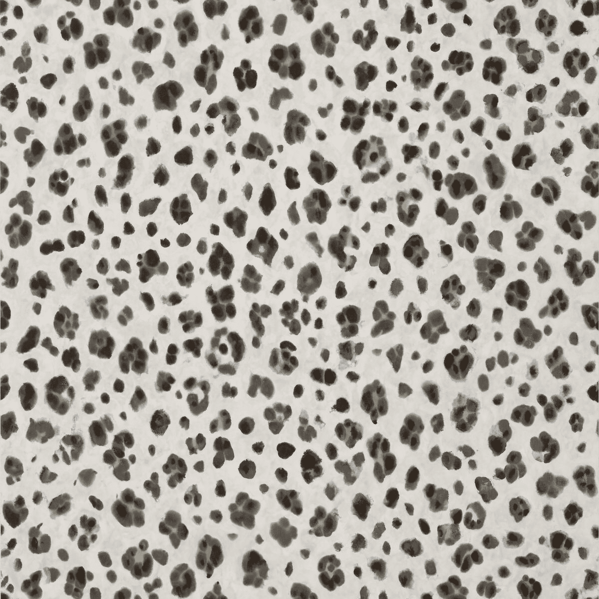 Thibaut Panthera Wallpaper in Black and White