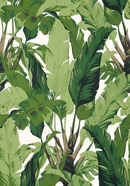 Thibaut Travelers Palm  Wallpaper in Green