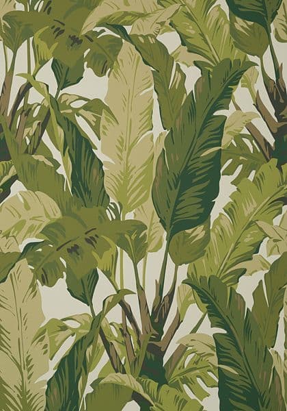 Thibaut Travelers Palm  Wallpaper in Sage