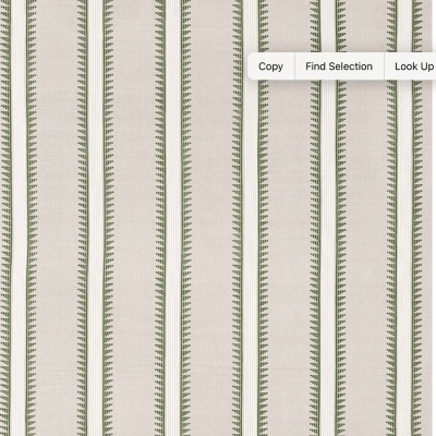 Thibaut Trail Head Fabric in Wild Sage