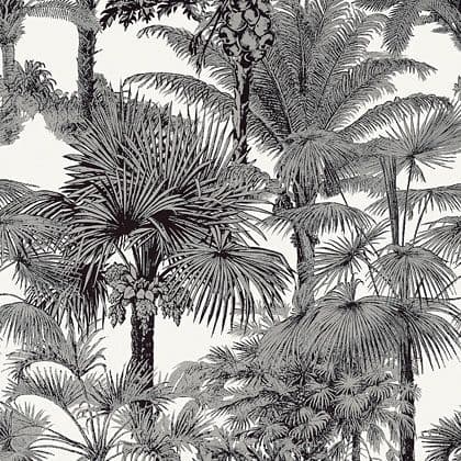 Thibaut Palm Botanical  Wallpaper in  Black