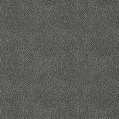 Thibaut Turini Dots  Wallpaper in Black